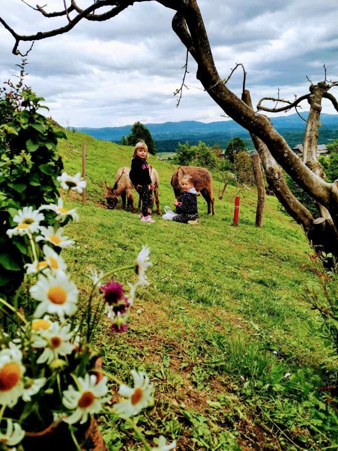 Vineyard Cottage Podrzaj Otočec Buitenkant foto