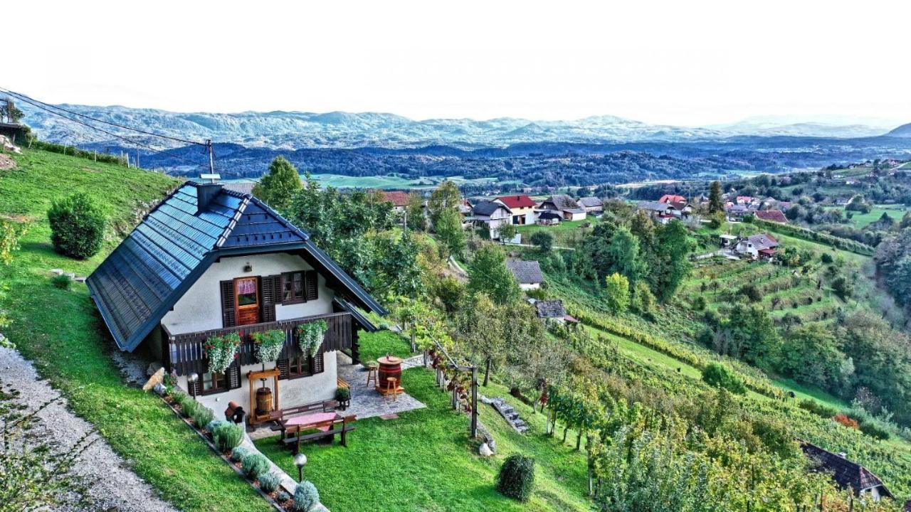 Vineyard Cottage Podrzaj Otočec Buitenkant foto